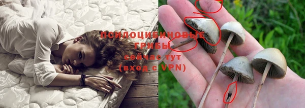 ALPHA PVP Переславль-Залесский
