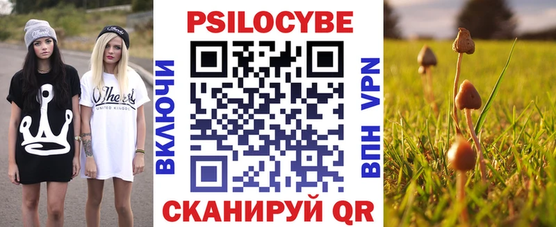 сайты даркнета как зайти купить сайты Нижняя Тура Псилоцибиновые грибы мухоморы